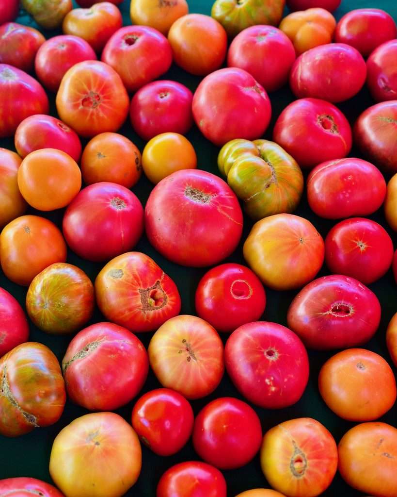 Heirloom tomatoes at the farmers market
