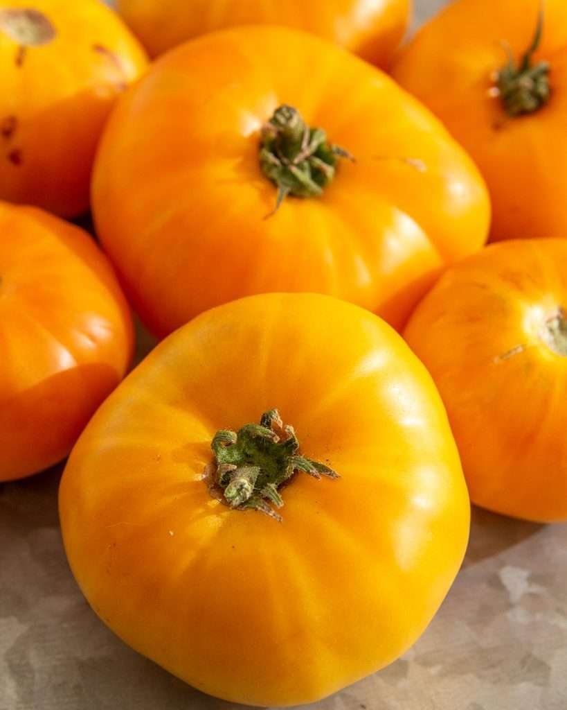 Yellow heirloom tomatoes